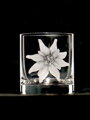 6x Whisky glas Barline 320 ml - Edelweiß Motiv - Hand graviertes Glas