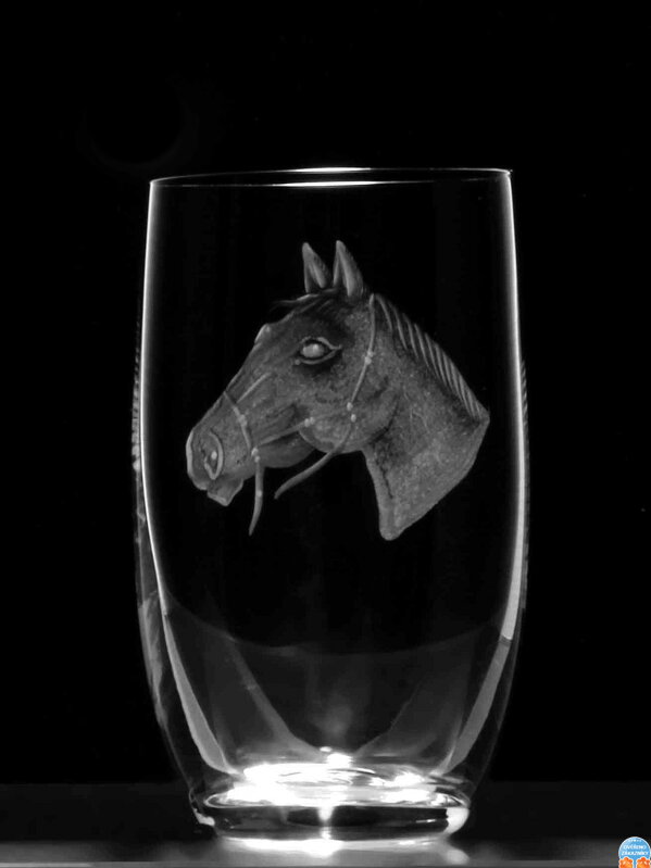 6x Sklenice Thun (300 ml) - motiv koně