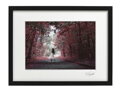 Umělecká fotografie Krajina - Duch (bílý rám)