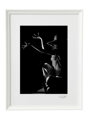 Umelecká čiernobiela fotografia - Tanec (biely rám)