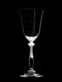  6x Wine Gläser Helix Motiv - Hand graviertes Glas Kristall