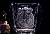 E-shop s porcelánem, sklem a dárky