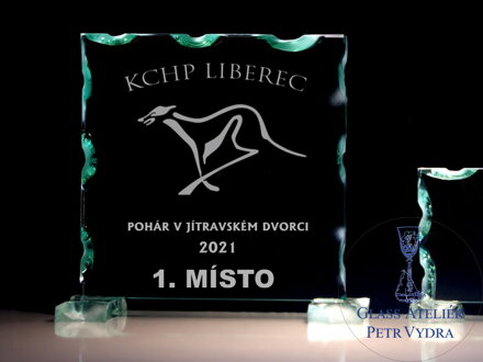 Sportovní trofej - Plaketa čtverec (vlastní text, logo) 