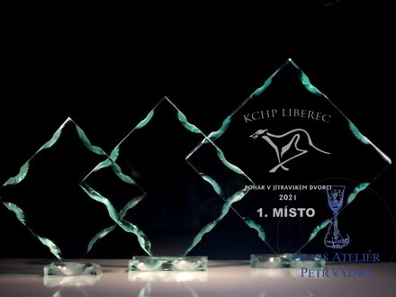 Sportovní trofej - Plaketa kosočtverec (vlastní logo, text) 