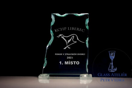 Sportovní trofej - Plaketa atyp (vlastní text, logo) 