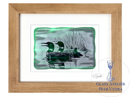 Potáplice, Loons - zelené vitrážové sklo v hnědém rámu 30 x 40 cm ( pasparta 21 x 30 cm )