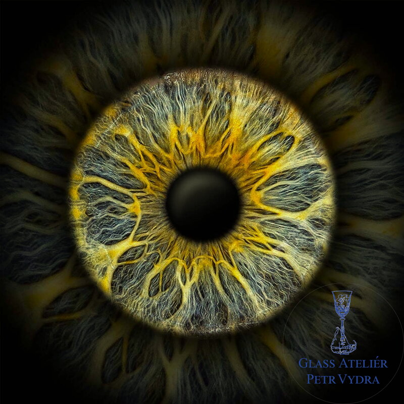 Obraz na akrylátovém skle - Iris foto - fotografie vaší duhovky jako obraz