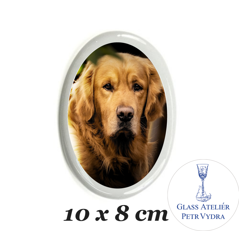 Keramický fotoobrázek na hrob ovál s fotografií   Keramický fotoobrázek na hrob ovál s fotografií