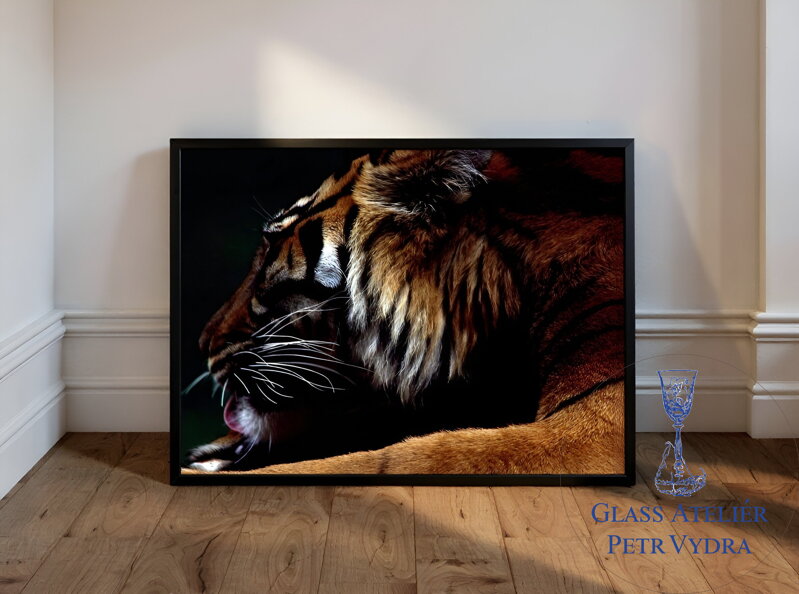 Limitovaná edice autorské fotografie - Tygr