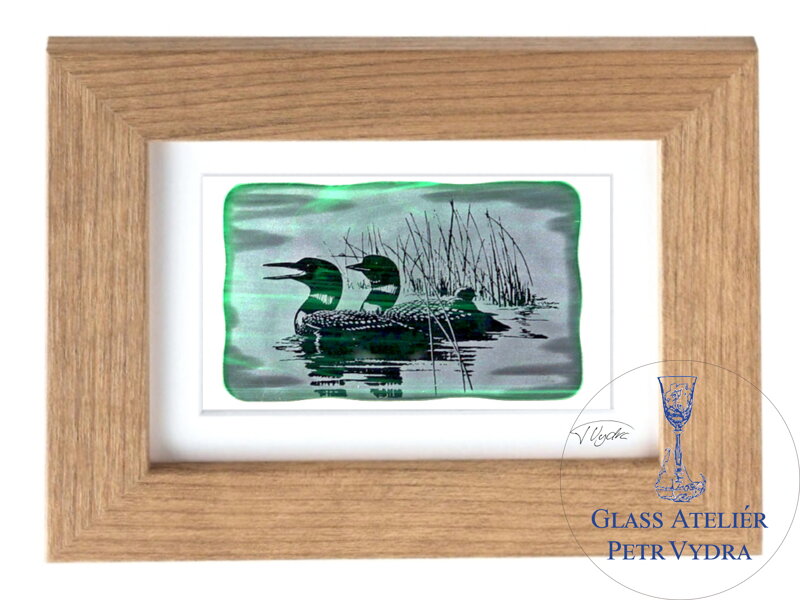 Potáplice, Loons - zelené vitrážové sklo v hnědém rámu 13 x 18 cm ( pasparta 10 x 15 cm ) Potáplice, Loons - zelené vitrážové sklo v hnědém rámu 13 x 18 cm ( pasparta 10 x 15 cm )