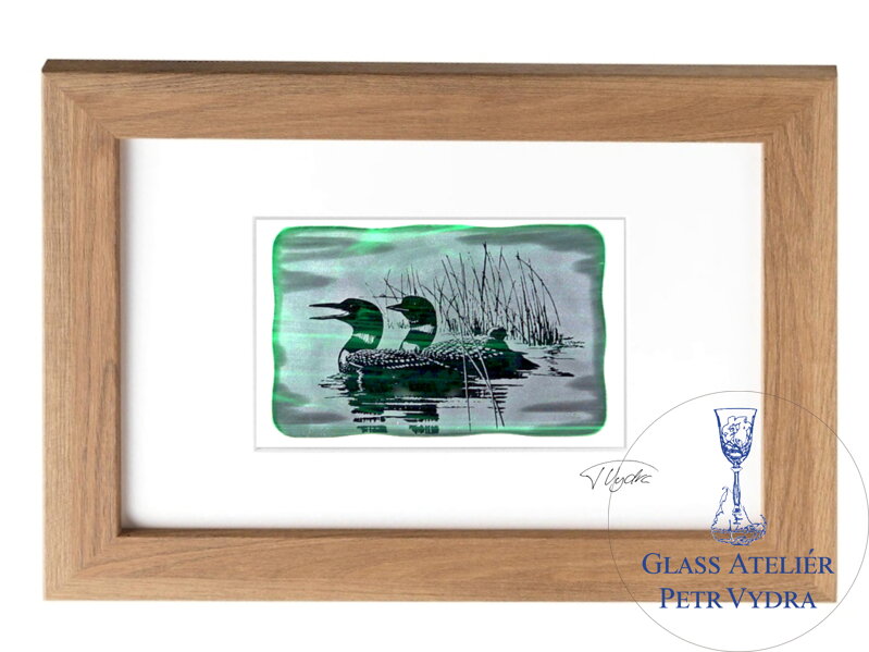 Potáplice, Loons  - zelené vitrážové sklo v hnědém rámu 21 x 30 cm ( pasparta 13 x 18 cm ) Potáplice, Loons  - zelené vitrážové sklo v hnědém rámu 21 x 30 cm ( pasparta 13 x 18 cm )