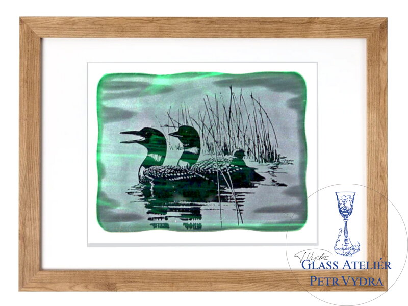 Potáplice, Loons - zelené vitrážové sklo v hnědém rámu 50 x 70 cm ( pasparta 40 x 50 cm )