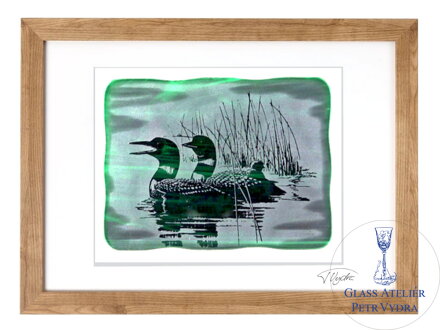 Potáplice, Loons - zelené vitrážové sklo v černém rámu 50 x 70 cm ( pasparta 40 x 50 cm )