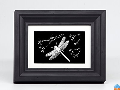 Vážka - černé sklo v rámu 13 x 18 cm ( pasparta 10 x 15 cm )