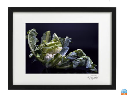 Umělecká fotografie - Květák (černý rám)