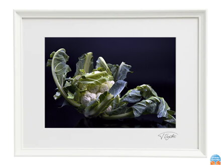 Umělecká fotografie - Květák (bílý rám)
