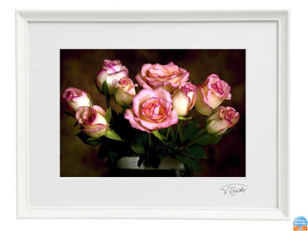 Umelecké fotografie Zátišie - Ruže (biely rám)