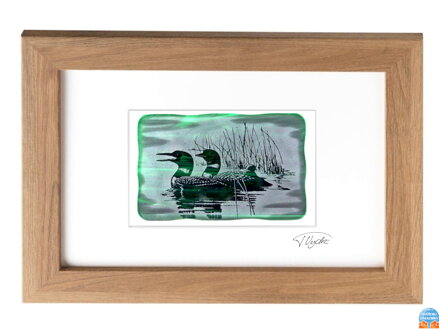 Potáplice, Loons  - zelené vitrážové sklo v hnědém rámu 21 x 30 cm ( pasparta 13 x 18 cm )