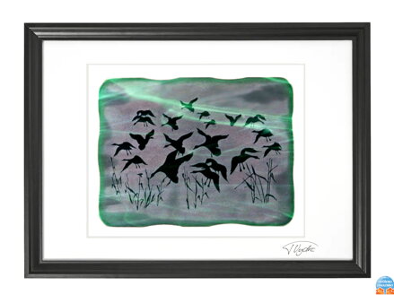 Husy - zelené vitrážové sklo v černém rámu 50 x 70 cm ( pasparta 40 x 50 cm )