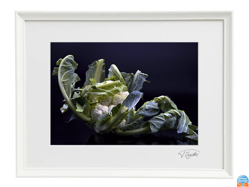 Umelecká fotografia - Karfiol (biely rám)