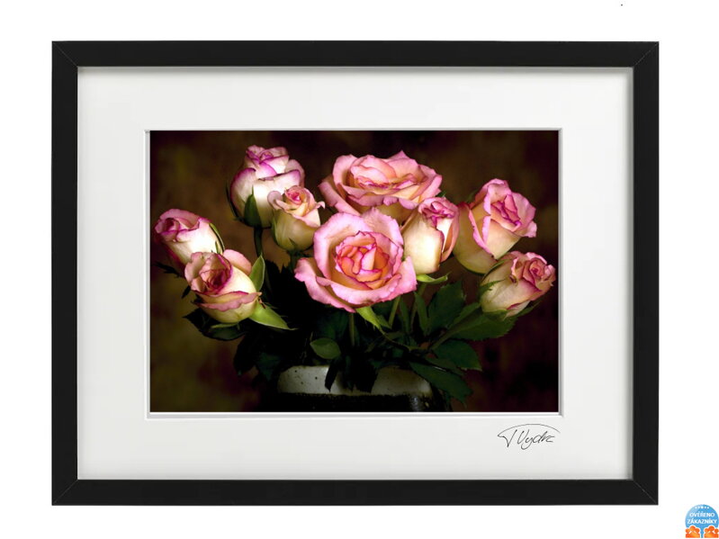 Umelecká fotografia Zátišie - Ruže (čierny rám)