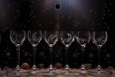 2x sklenice na víno 250 ml - motiv sladkovodních ryb s dárkovou krabicí s prostorem na lahev vína