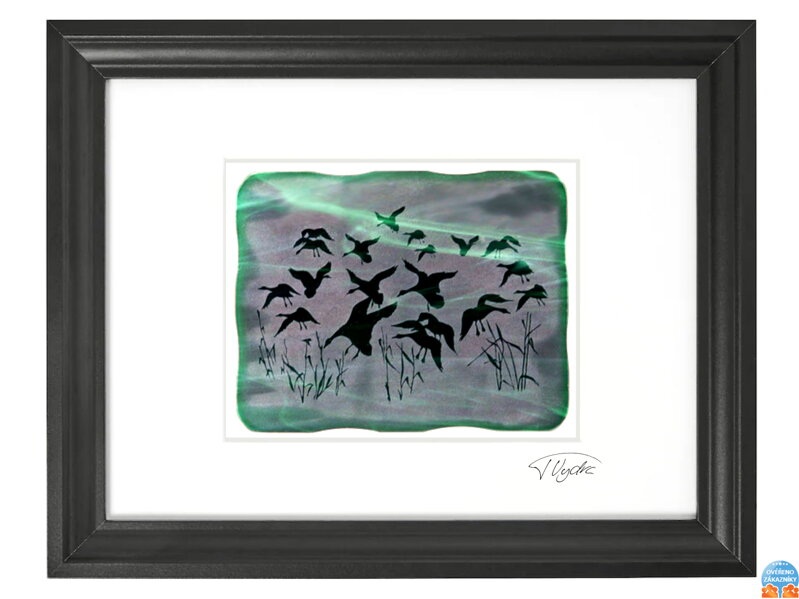 Husy - zelené vitrážové sklo v černém rámu 30 x 40 cm ( pasparta 21 x 30 cm )