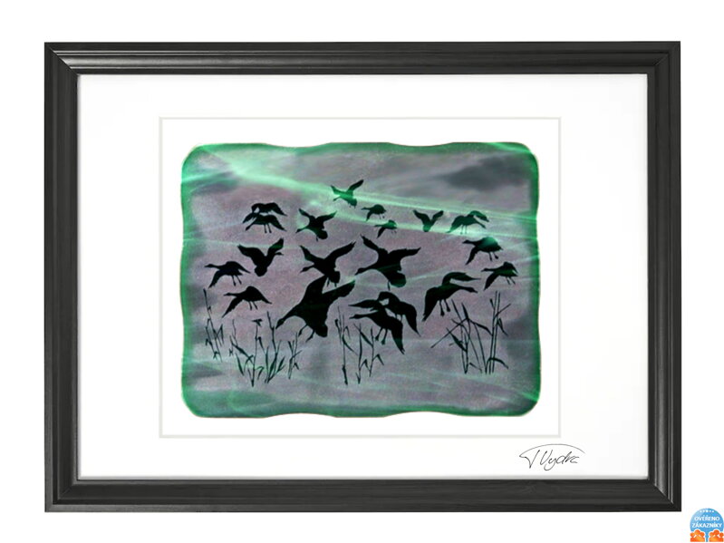 Husy - zelené vitrážové sklo v černém rámu 50 x 70 cm ( pasparta 40 x 50 cm )
