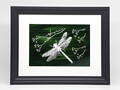 Libelle - grüne Glasmalerei im Rahmen 30 x 40 cm (Passepartout 21 x 30 cm)