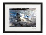 Umělecká fotografie Abstrakce - Kaluž (černý rám)