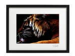 Umělecká fotografie Zvířata - Tygr (černý rám)