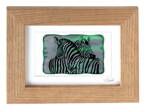 Zebra - zelené vitrážové sklo v hnědém rámu 13 x 18 cm ( pasparta 10 x 15 cm )