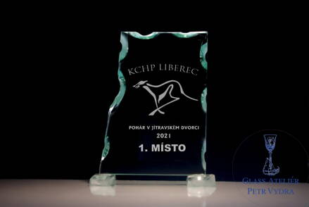 Sportovní trofej - Plaketa atyp (vlastní text, logo) 13 cm